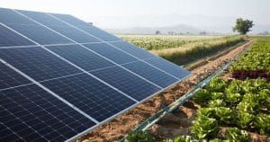 Le photovoltaïque dans le secteur agricole