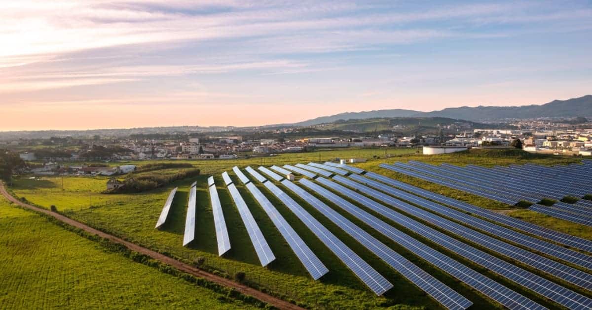 ferme solaire