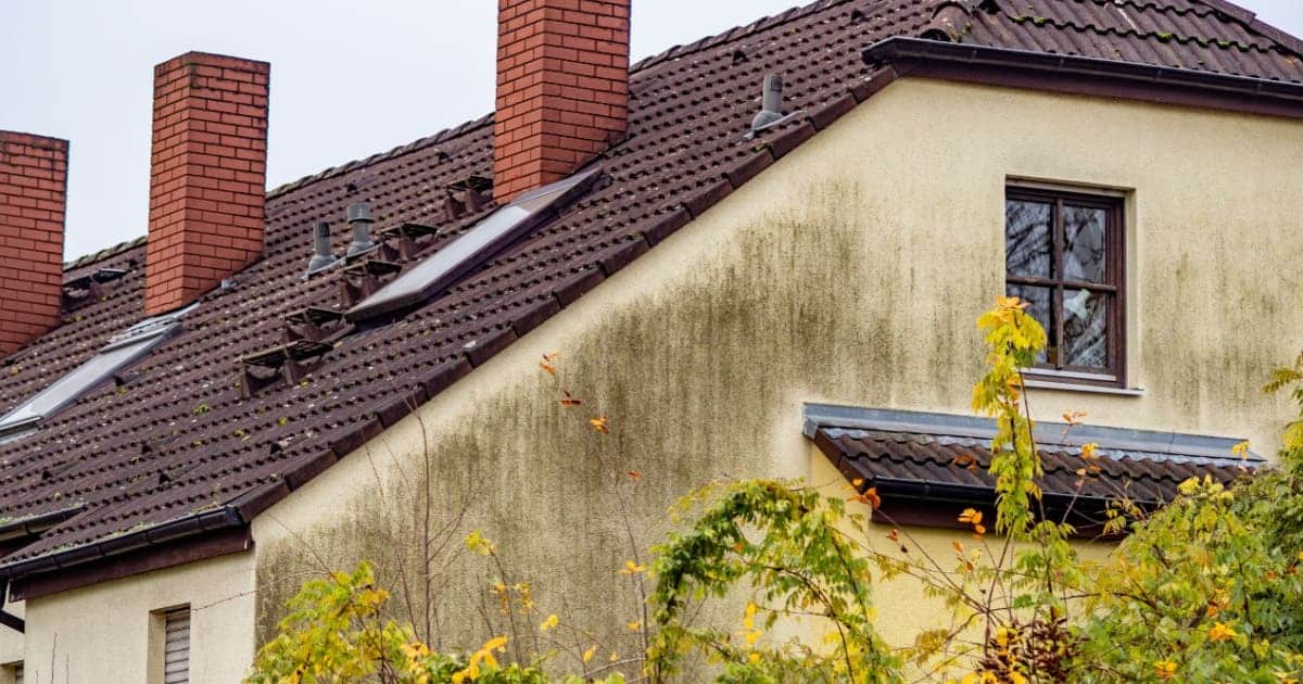 Humidité et panneaux solaires