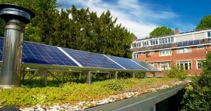 Toiture végétalisée et panneaux solaires