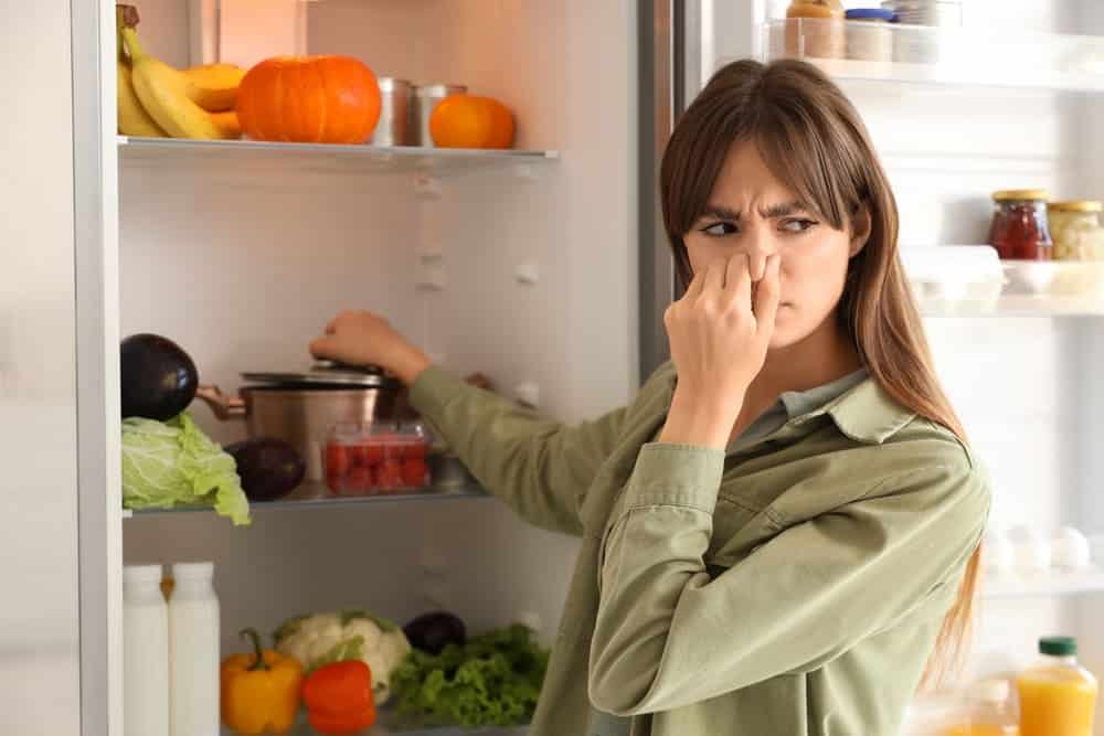 odeurs-dans-le-frigo Odeurs dans le réfrigérateur