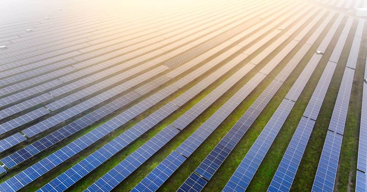 Ferme de panneaux solaires