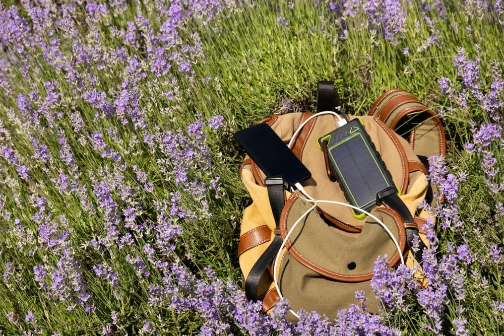 Chargeur solaire X-Moove accroché sur sac à dos de randonnée dans un champ de lavande pour recharge nomade