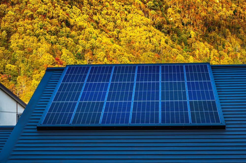 Installation de panneaux solaires photovoltaïques sur toiture avec forêt en arrière-plan symbolisant l'énergie durable et écologique