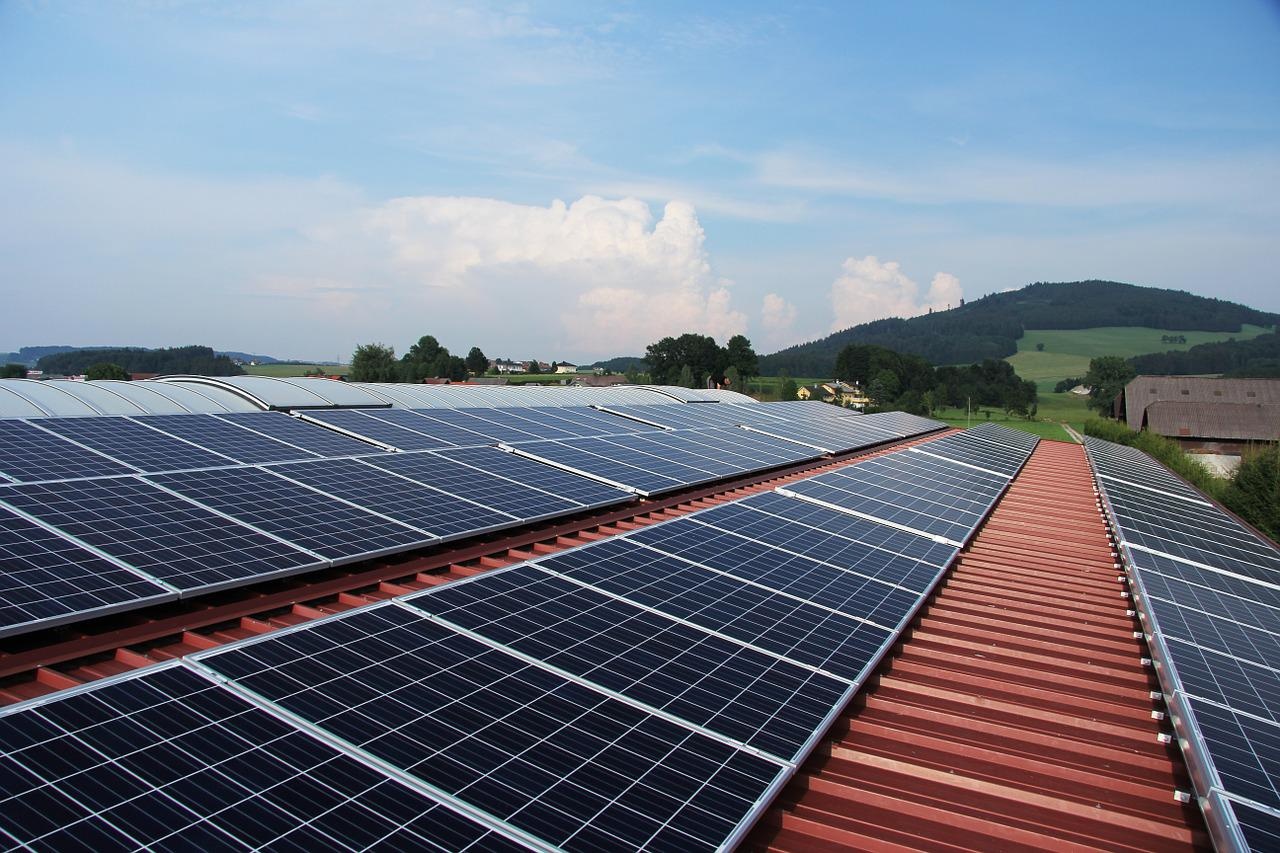 longi-solar-avis