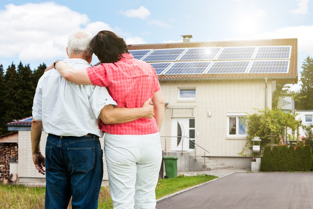 panneaux solaires regulateur de charge solaire