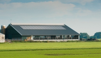 Entreprises et bâtiments agricoles : équipez-vous en panneaux photovoltaïques